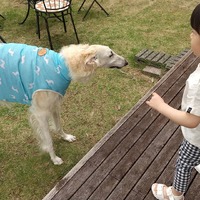 香爐ガーデンのワンコ

… 2021/06/02 13:52:52