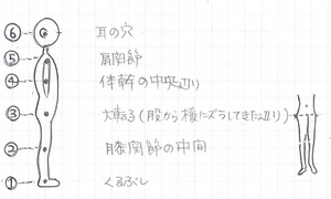 【来週のレッスン案内】　身体のニュートラルポジション!!