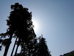 【思いを形に】　離れて見えてきたこと