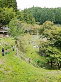 受け入れるから次が見えてくる