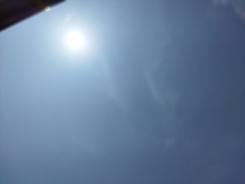 だるい、暑い
