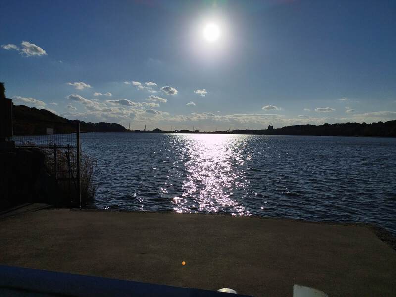 久しぶりに佐鳴湖を散歩（ヘバーデン結節になりました。指が痛い）