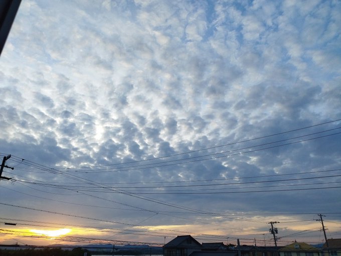 忙しすぎるかも