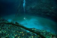 水の中なのに川がある幻想的な水中洞窟