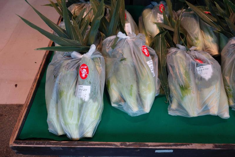 明日よりとうもろこしの販売を開始します