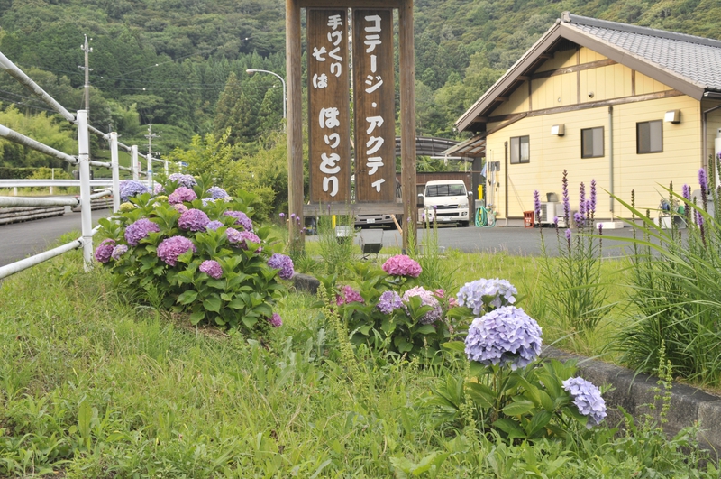 コテージの今