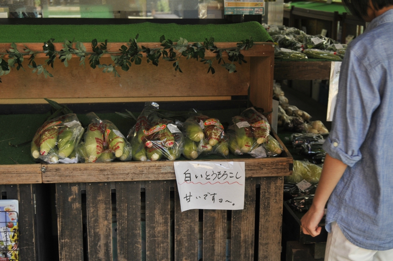 「山里の市」に白いとうもろこし登場！！