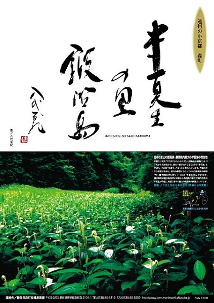 半夏生ポスター限定販売中