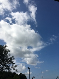 5月7日の記事 2020/05/07 09:58:08