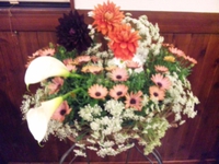 今週の花 2015/03/12 22:57:51