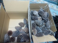 作業中 2014/11/14 20:32:02