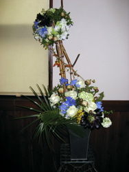 今週の花