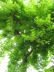 投票結果♪ 2014/05/25 23:33:48