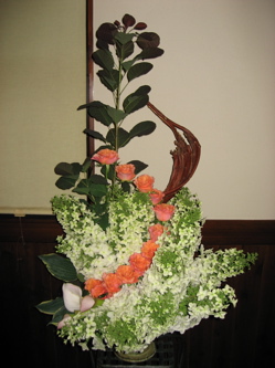 西洋紫陽花