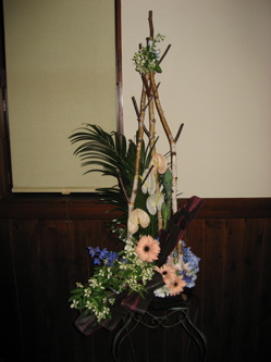 今週の花