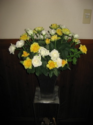 今週の花