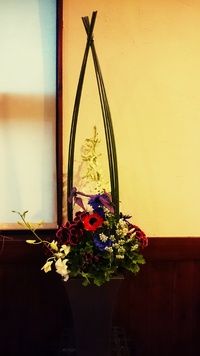 今週の花♪ 2017/03/24 14:44:00