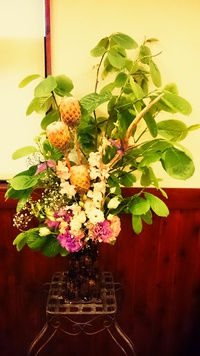 今週の花 2016/04/22 23:20:37