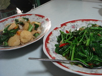 たまご豆腐みたい