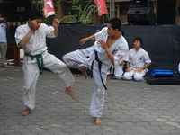KYOKUSIN KARATE
