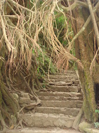 登山口