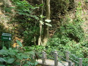 登山口