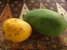 ｍａｎｇｇａ