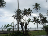ＫｕｔａからＢａｌｉ　Ｂａｒａｔまでひた走る
