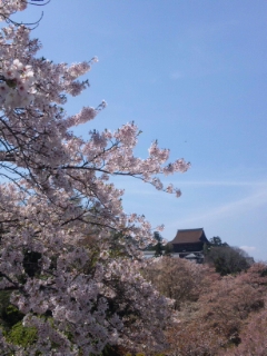 GW営業のお知らせ♪