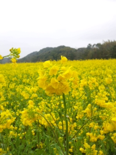 ４月♪