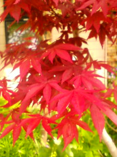 明日は営業日です♪