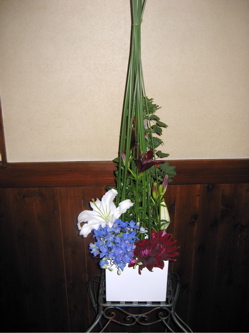 今週の花