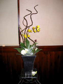 今週の花は...♪