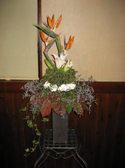 今週の花は...♪