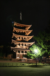 奈良