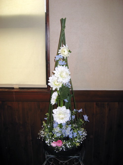 今週の花♪