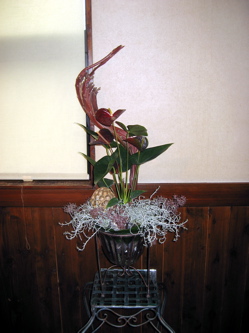 花♪花♪花♪