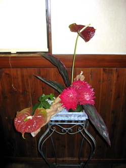 今週の花と最近スキなヒトビト