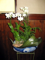 花器も♪