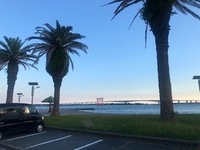 残暑♪ ハル