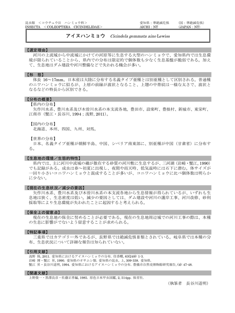 アイヌハンミョウ、おったよ。
