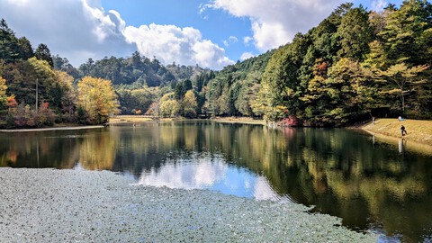 釣り場の状況　11月4日