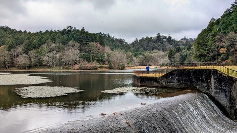 釣り場の状況　11月29日