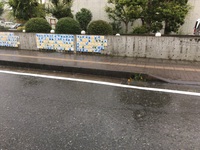 雨！？今日のスクール！！
