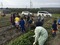 11/8 食農体験！（さつまいも堀り）