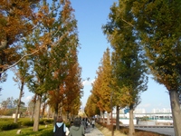 釜山市民公園 1