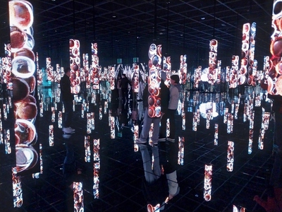 感覚を刺激するメディアアート 6