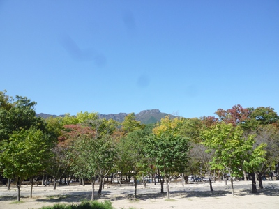 通度寺の図書館 4