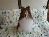 あかりちゃん、ご来店 2021/06/10 08:46:03