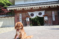 油山寺に行ってきました。 2021/06/02 11:24:30